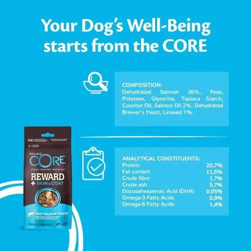 Wellness Core Reward + Treats Skin & Coat Salmon 170g