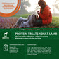 Wellness Core Training Treats Lamb Flavoured With Apple 170g
