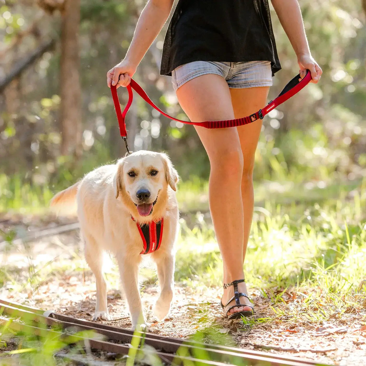 ZERO SHOCK LEASH 48`  -  BLACK