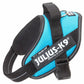 Julius k9 IDC?-Powerharness, Size: Mini, `Aquamarine`