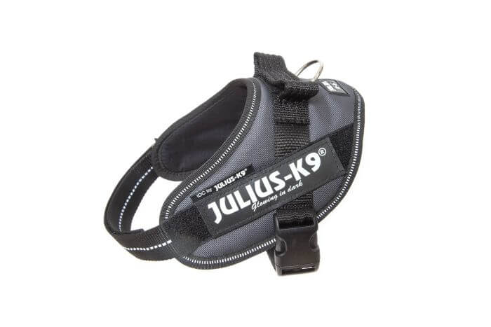 Julius k9 IDC?-Powerharness, Size: Mini, grey