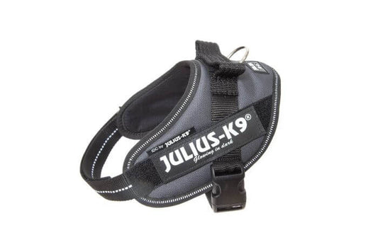Julius-K9 IDC Powerharness Mini, Grey
