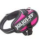 Julius-K9 IDC Powerharness Baby 2, Dark Pink