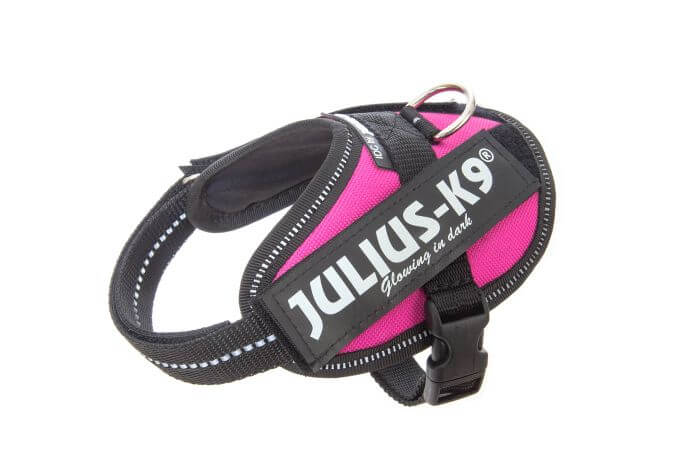 Julius-K9 IDC Powerharness Baby 2, Dark Pink