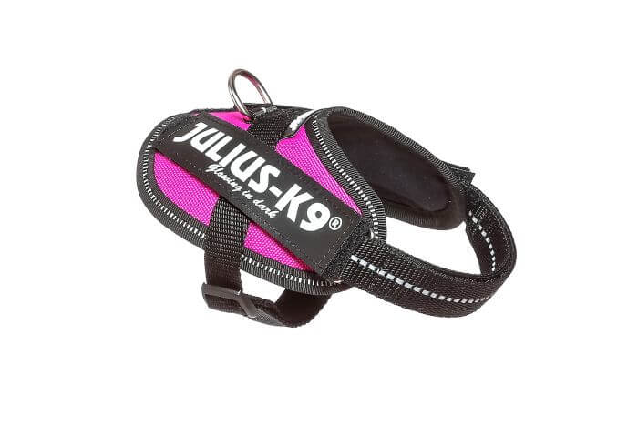 Julius-K9 IDC Powerharness Baby 2, Dark Pink