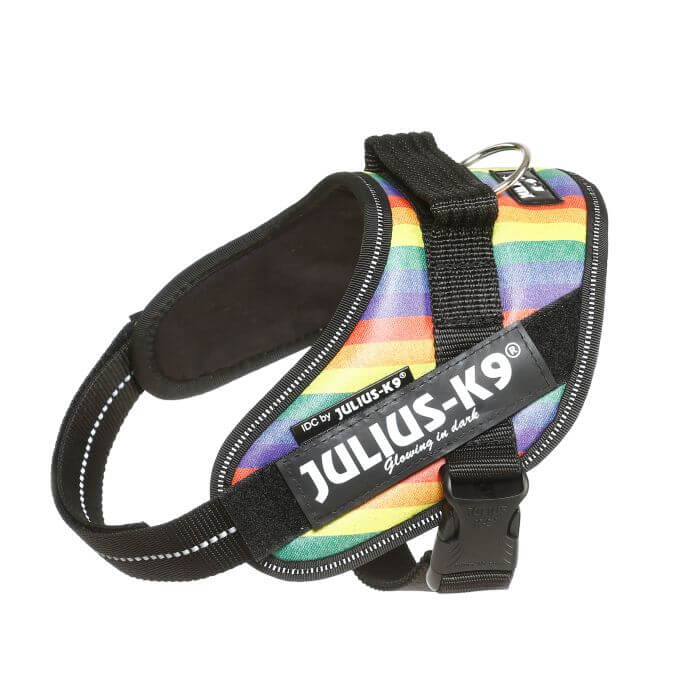 Julius-K9 IDC Powerharness Mini, Artificial leather rainbow