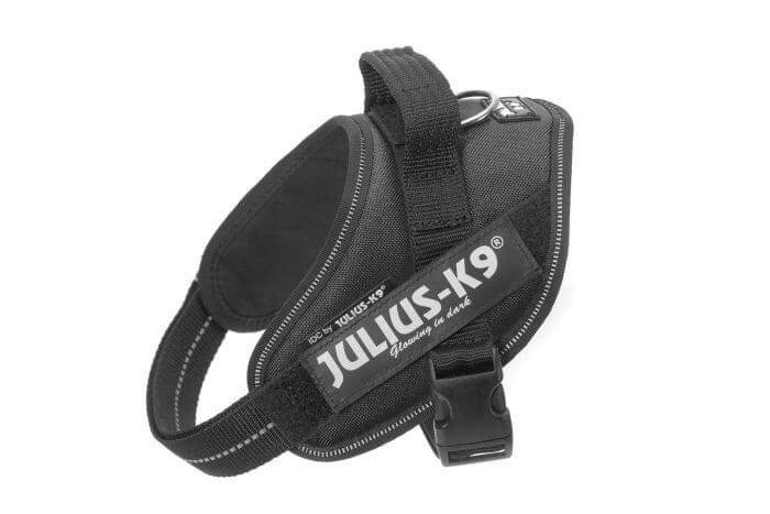 Julius k9 IDC?-Powerharness , Size: Mini, Black