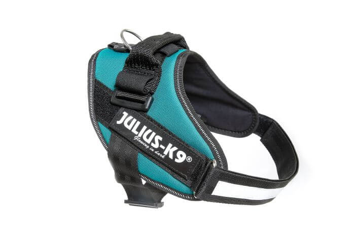 Julius k9 IDC?-Powerharness, Size: 0, Petrol-green