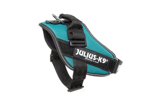 Julius k9 IDC?-Powerharness, Size: 0, Petrol-green