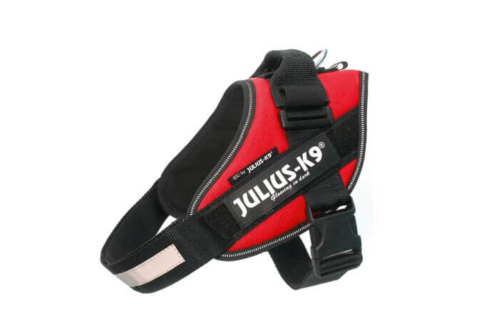 Julius-K9 IDC Powerharness Size 0, Red