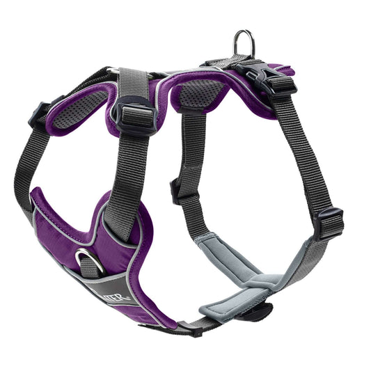 Harness Divo 52-68/S-M Nylon/Polyester violet/grey