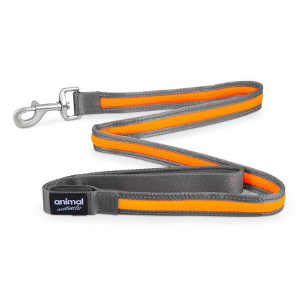 Animal Instincts Flashing Safety USB Nylon Leash Grey/Orange  1.2M