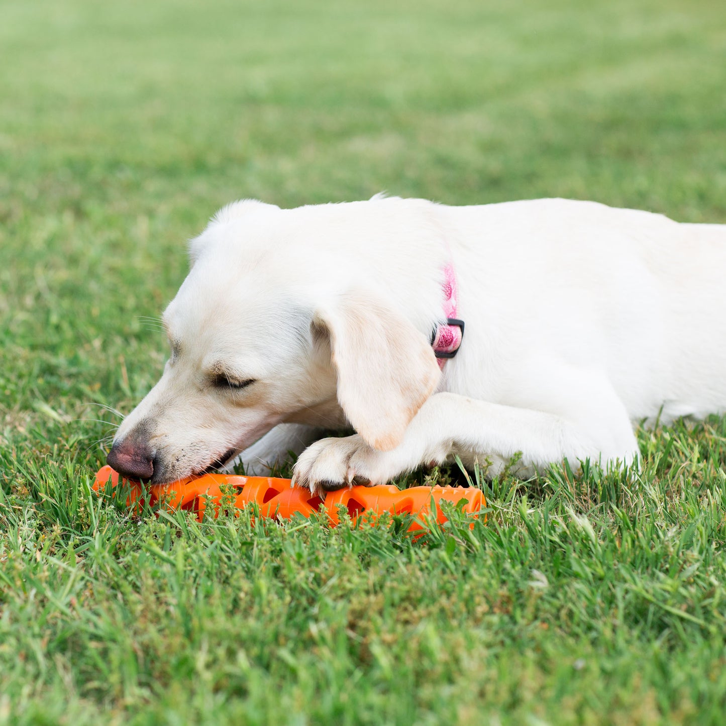 Chuckit! Air Fetch Stick Large