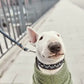 Hurtta Razzle-Dazzle Collar Blackberry 25-35cm