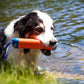 Chuckit! Amphibious Bumper Medium