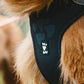 Hurtta Weekend Warrior Harness Raven 60-80cm