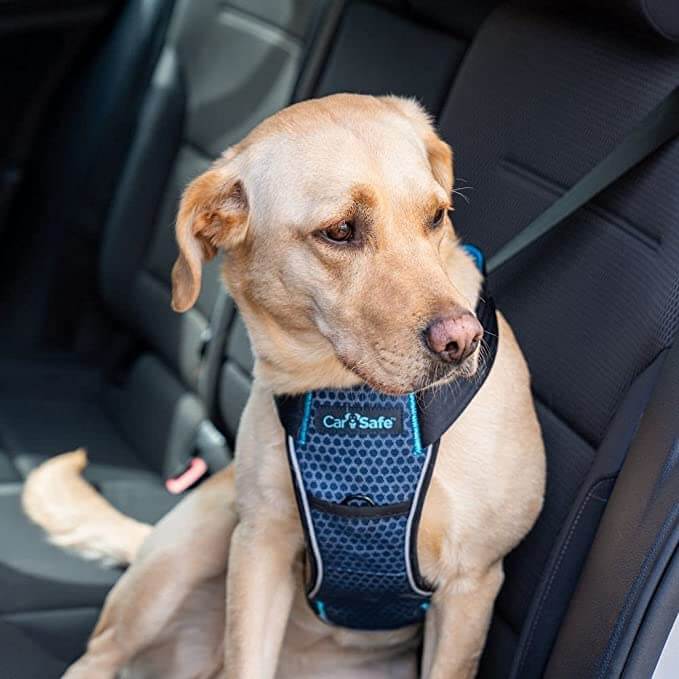 CarSafe Crash Tested Dog Harness (L)