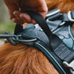 Hurtta Weekend Warrior Harness Raven 80-100cm