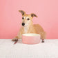 Scruffs Classic Food Bowl - 15cm Pink