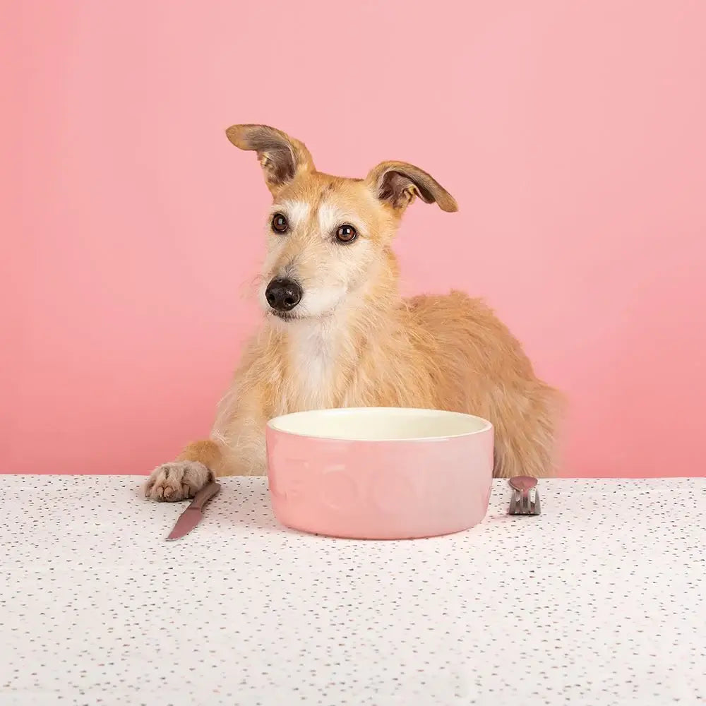 Scruffs Classic Food Bowl - 15cm Pink