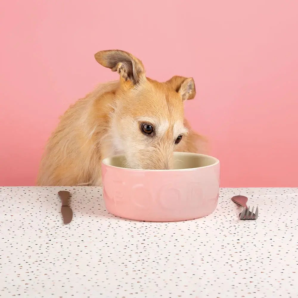 Scruffs Classic Food Bowl - 19cm Pink