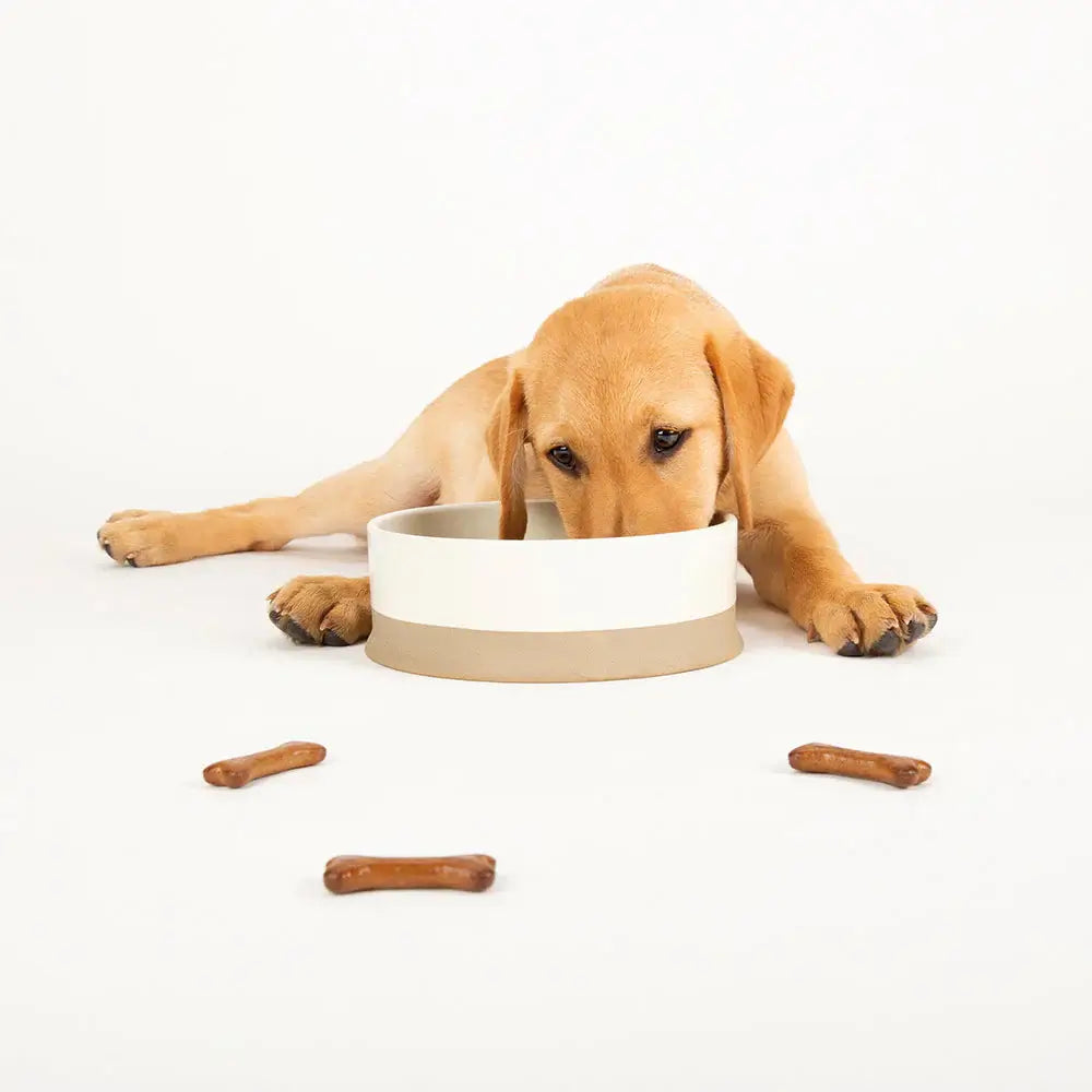 Scruffs Scandi Non Tip Bowl - 20cm Cream
