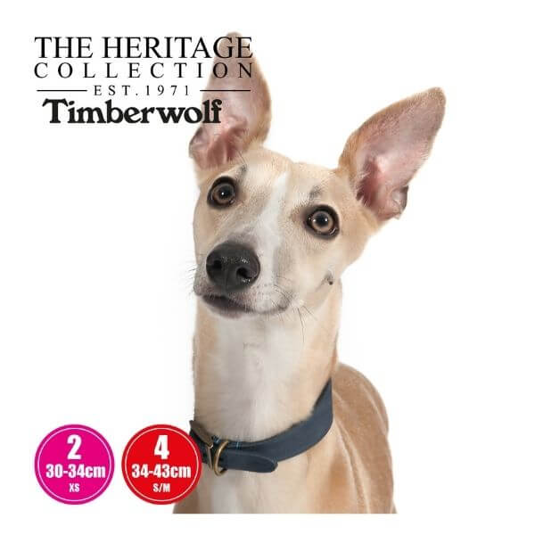 Ancol Timberwolf Whippet Leather Collar Sable 30-34cm