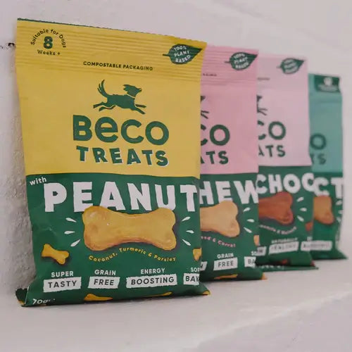 Beco Peanut Treats with Coconut & Turmeric 1 x 70g