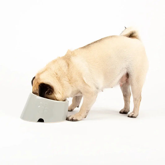 Scruffs Classic Flat Faced Pet Bowl - 18cm Grey