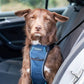 CarSafe Crash Tested Dog Harness (S)