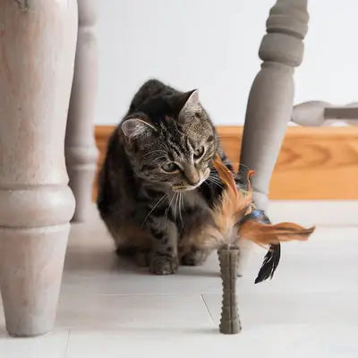 GiGwi Feather Stick Cat Toy Natural