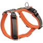 Hunter Harness Maldon 34-49/XS Mesh orange/grey