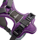 Hunter Harness Divo 56-73/M Nylon/Polyester violet/grey