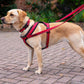 HALTI Comfy Harness Red (M)