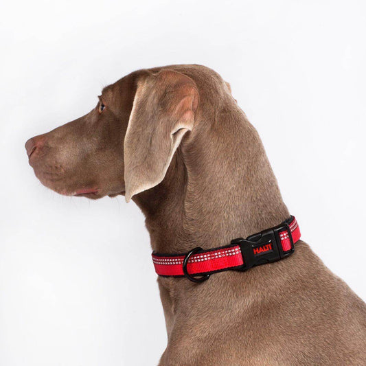 HALTI Collar Red (L)