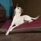 Scruffs Hilton Memory Foam Orthopaedic Pillow (XL) Red
