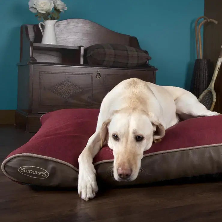 Scruffs Hilton Memory Foam Orthopaedic Pillow (XL) Red