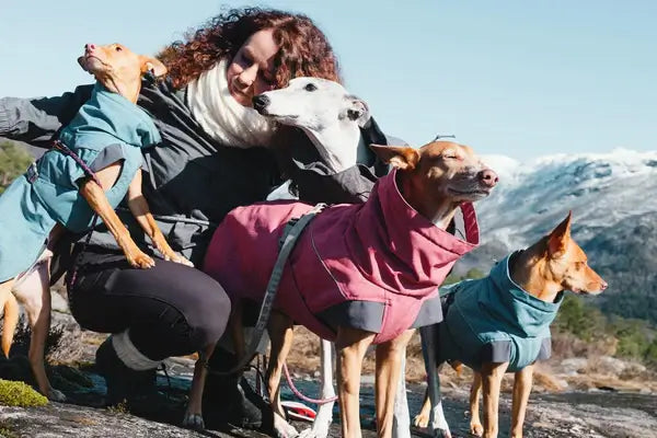 Hurtta dog wear shop