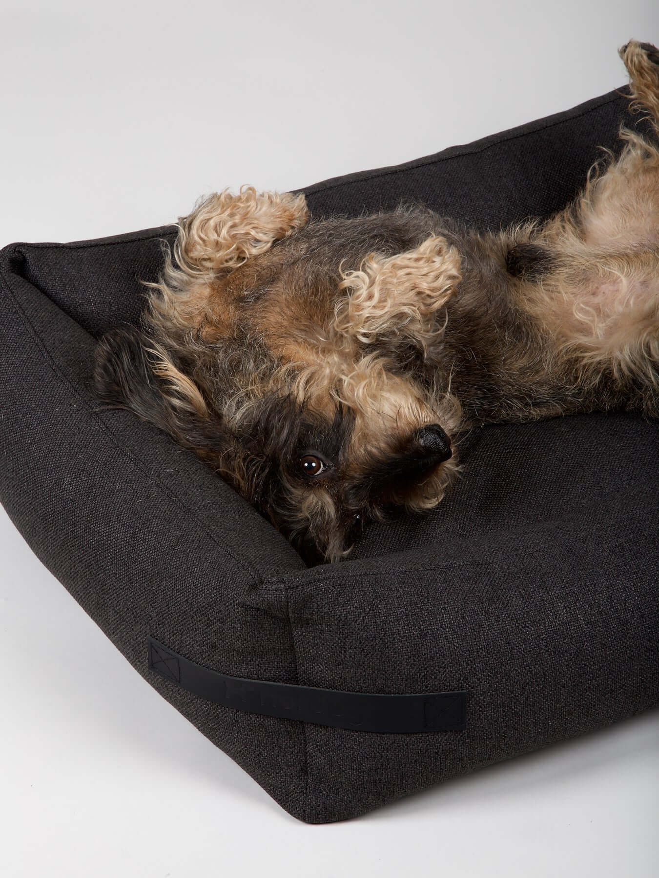 Nordog Graphite Hygge Dog Bed (M)