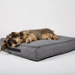 Nordog Anthracite Hygge Dog Cushion (M)