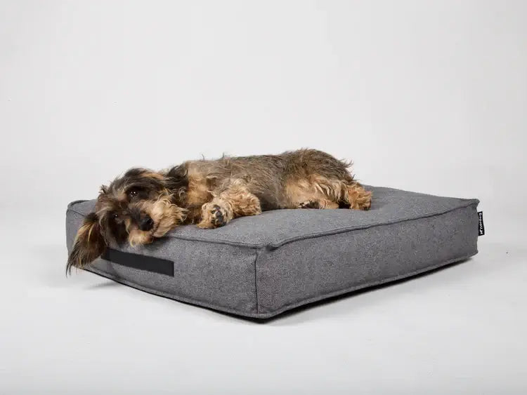 Nordog Anthracite Hygge Dog Cushion (M)