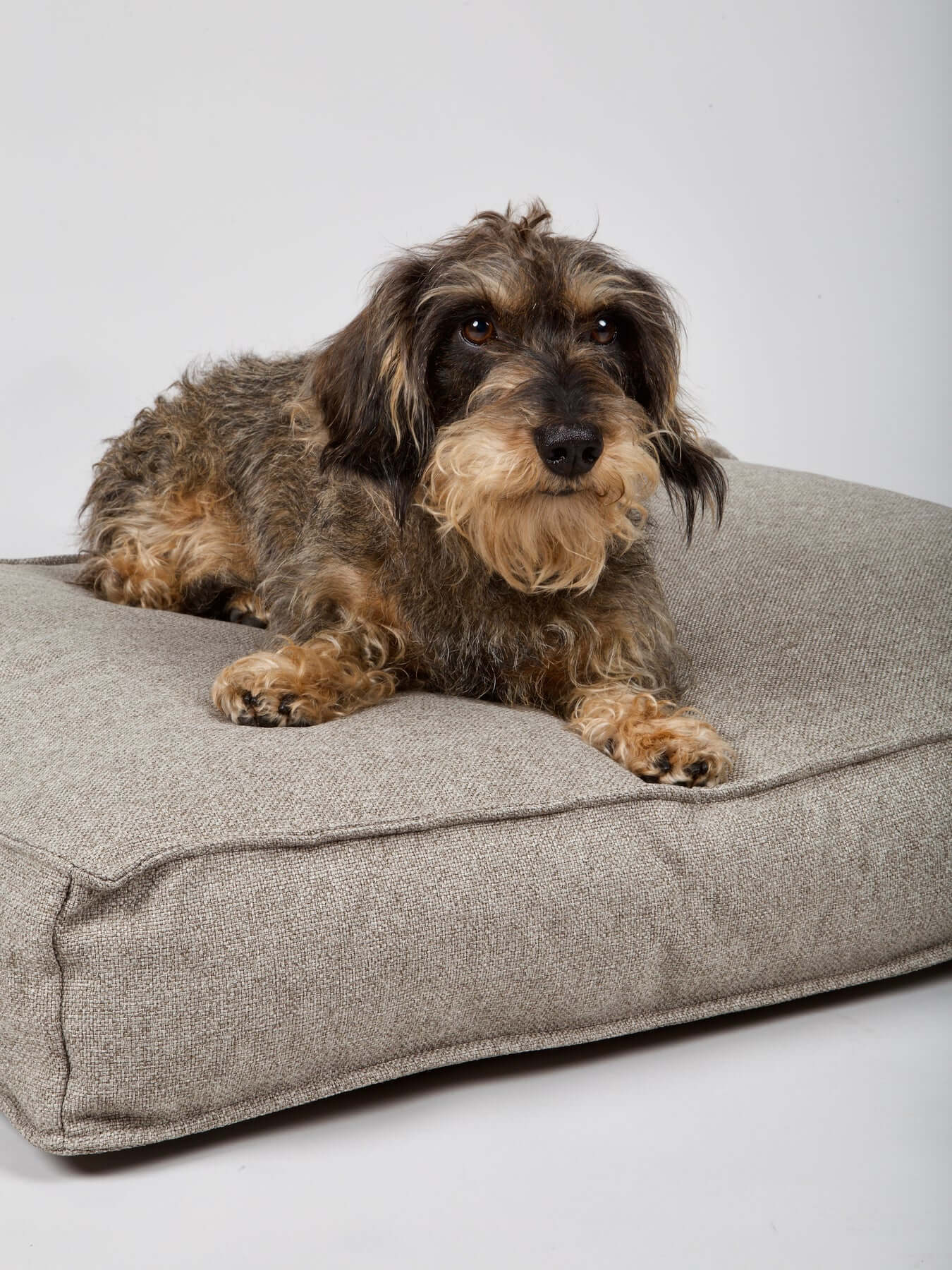 Nordog Cappucino Hygge Dog Cushion (L)