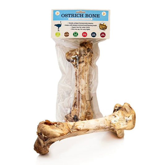 Large Ostrich Bone JR