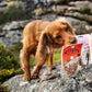 JR Pet Pure Turkey Training Treats 85g