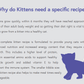 Smedleys Chicken & Fish Kitten 2kg