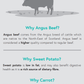 Home Farm Angus Beef GF 2kg