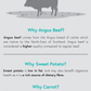 Home Farm Angus Beef GF 6kg