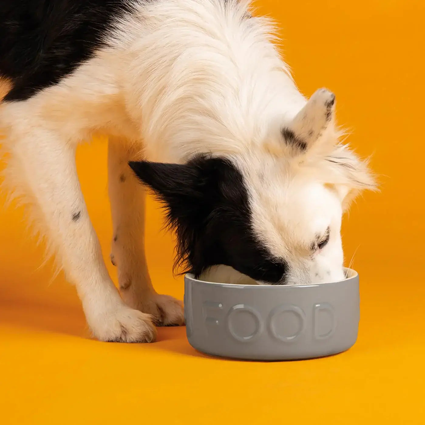 Scruffs Classic Food Bowl - 19cm Grey