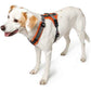 Hunter Harness Maldon 34-49/XS Mesh orange/grey