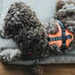Hunter Harness Maldon 34-49/XS Mesh orange/grey